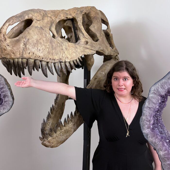 Meeting a T. Rex skull at the Arkenstone Gallery of Fine Minerals.